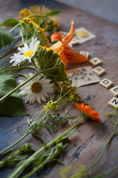 Similar image 21680454