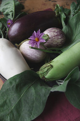 Similar image 21680457