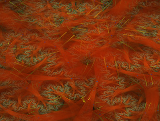 Similar image 21681203