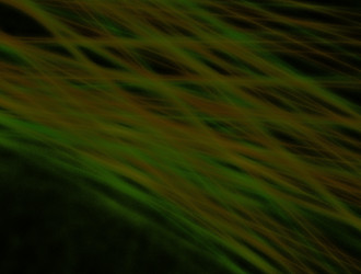 Similar image 21681214