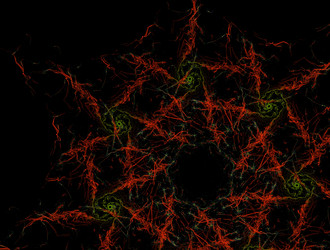 Similar image 21681247