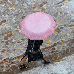 Similar image 21679564