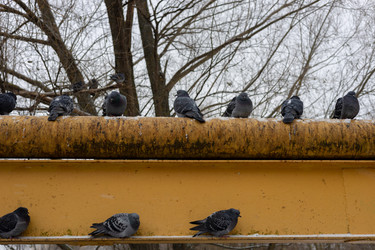 Similar image 21679568