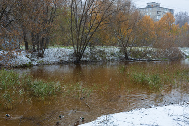 Similar image 21679570