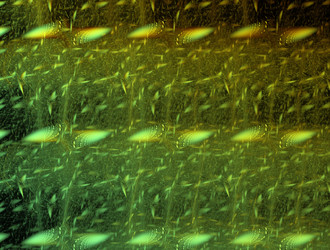 Similar image 21681254