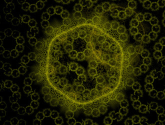 Similar image 21681255