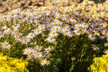 Similar image 21680840