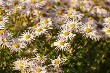 Similar image 21680841