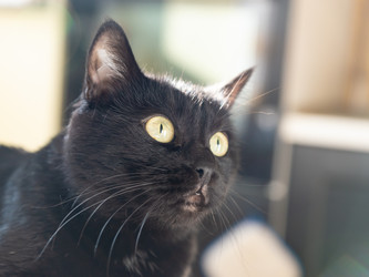 Similar image 21678789