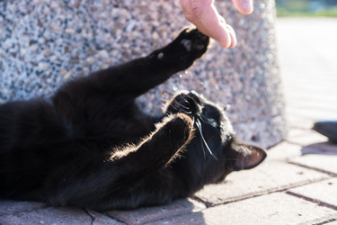 Similar image 21678790