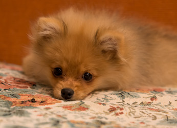 Similar image 21678791