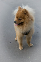 Similar image 21678792