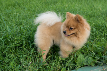 Similar image 21678793