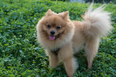 Similar image 21678794