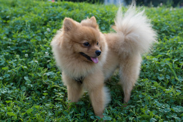 Similar image 21678795