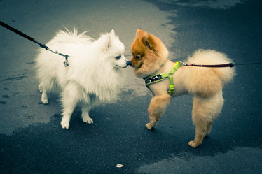 Similar image 21678796