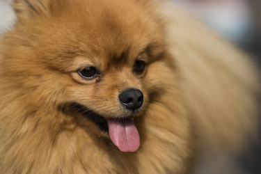 Similar image 21678797