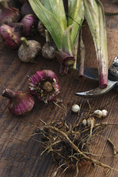 Similar image 21680277