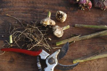 Similar image 21680280