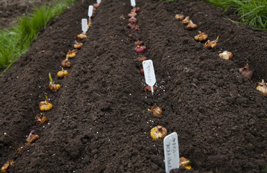 Similar image 21680283