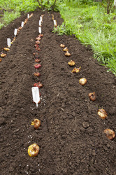 Similar image 21680284