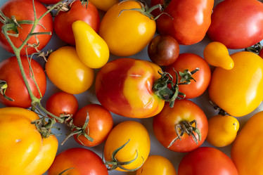 Similar image 21678812