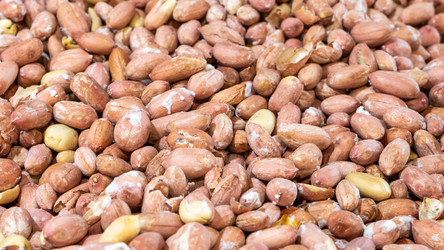 Similar image 21678816