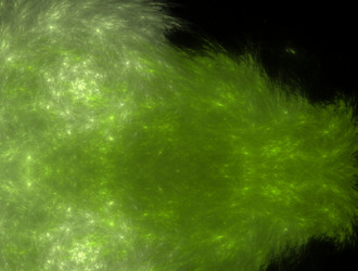 Similar image 21681279