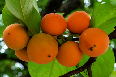 Similar image 21679599