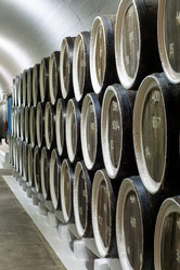 Similar image 21679600