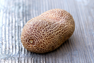 Similar image 21679602