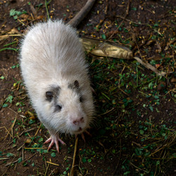 Similar image 21679603