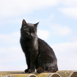 Similar image 21679604