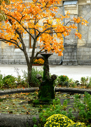 Similar image 21679605