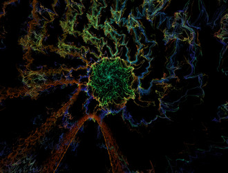 Similar image 21681301