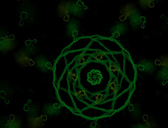 Similar image 21681639