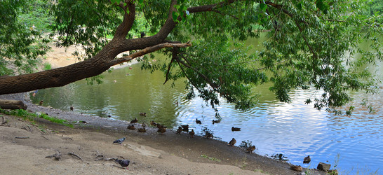 Similar image 21679790