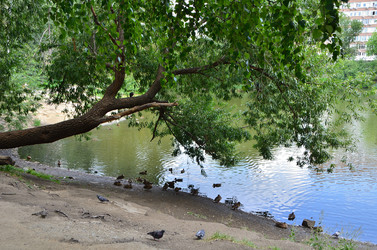 Similar image 21679791