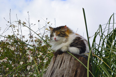 Similar image 21679801