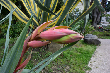 Similar image 21679802