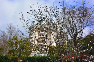 Similar image 21679804