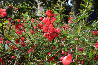 Similar image 21679805