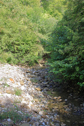 Similar image 21679808