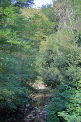 Similar image 21679809