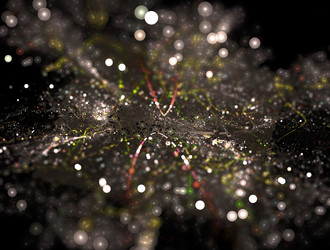 Similar image 21681303