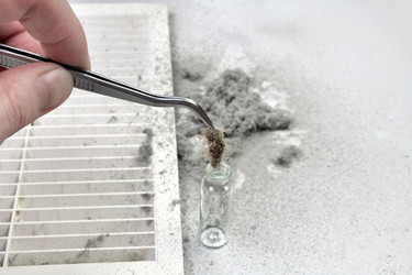 Similar image 21684361