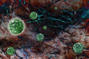 Similar image 21683186