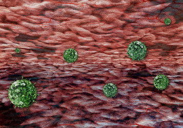 Similar image 21684362