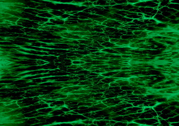 Similar image 21680582