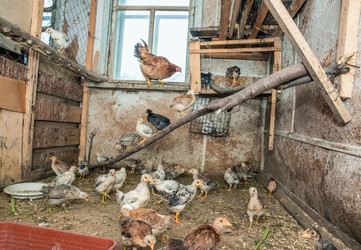 Similar image 21683711